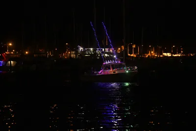 DSC_2471 (Large).JPG